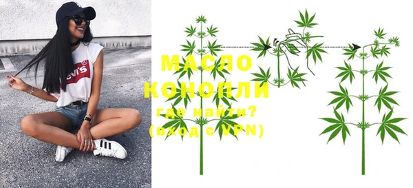 индика Шали